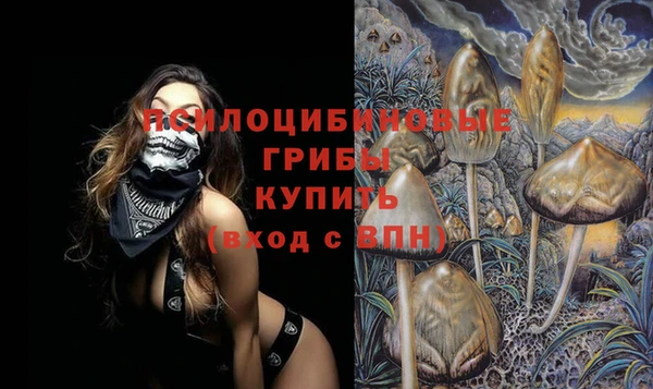 крисы Верхнеуральск