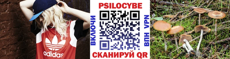 маркетплейс формула  сколько стоит  Островной  Псилоцибиновые грибы мицелий 
